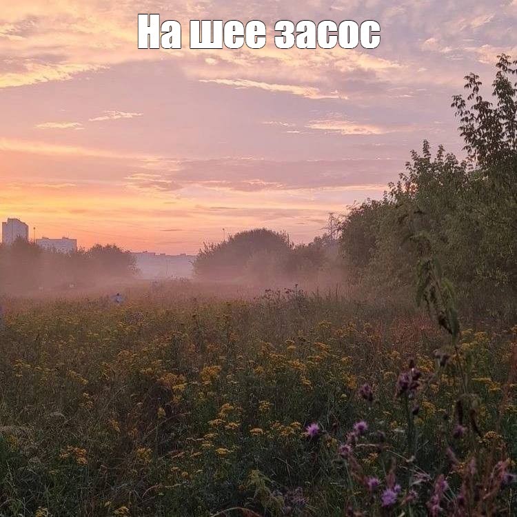 Create meme: morning , june dawn, dawn mist