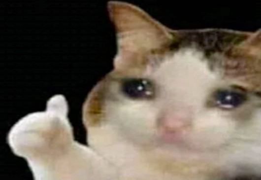 Create meme: the cat is crying, crying cat, cat crying meme