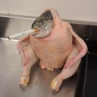 Create meme: Smoking chicken, fish in a chicken Smoking a cigarette, fish chicken