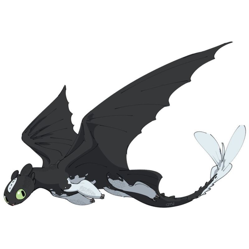 Create meme: day fury, toothless the night fury, dragon toothless