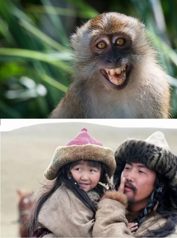 Создать мем: болезнь обезьян, животные птицы, обезьяна улыбается мем без зубов