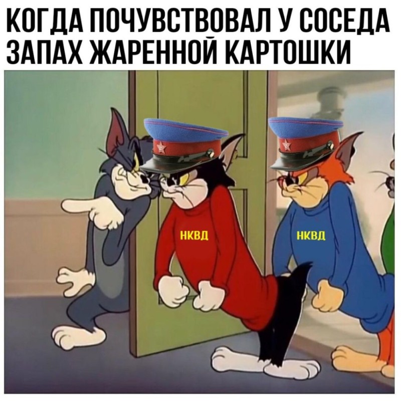 Create meme: memes , Tom and Jerry memes, Tom and Jerry are three cats