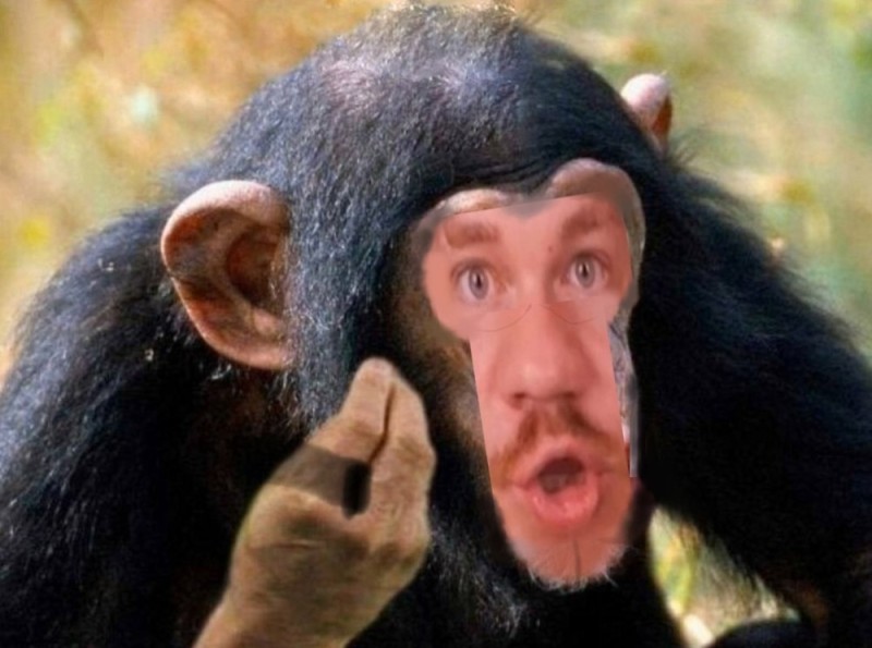 Create meme: male monkey, chimpanzee, male chimpanzees
