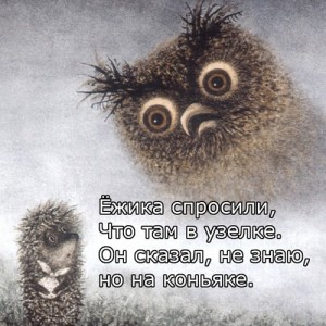 Create meme: owl hedgehog in the fog, hedgehog in the fog