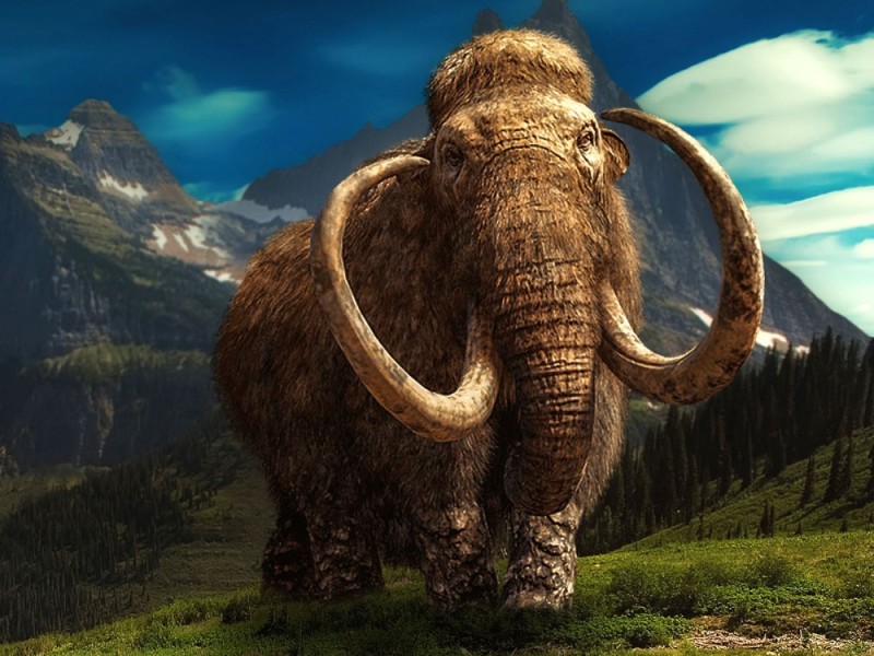 Создать мем: mammoth, доисторические животные, шерстистый мамонт