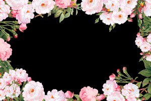 Create meme: floral background, flowers frame, frame flower