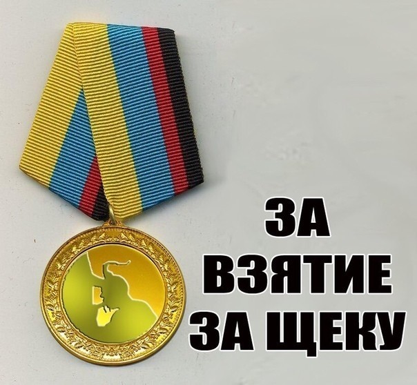 Create Meme Pidaru Ssanychu Medal For The Capture Of The Cheek Awards Commemorative Medals Pictures Meme Arsenal Com