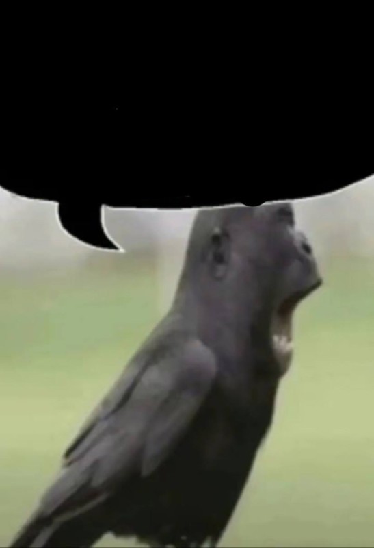 Create meme: animals birds, weird animals , funny animals 