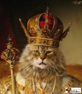 Создать мем: Кошка с короной