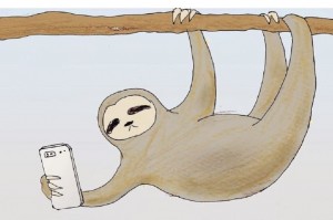 Создать мем: забавные рисунки ленивца, ленивец иллюстрация, ленивец животное