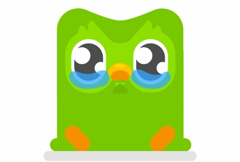 Create meme: duolingo killer, owl duolingo, duolingo