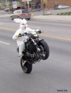 Create meme: yamaha fz, bikers, bunny hop