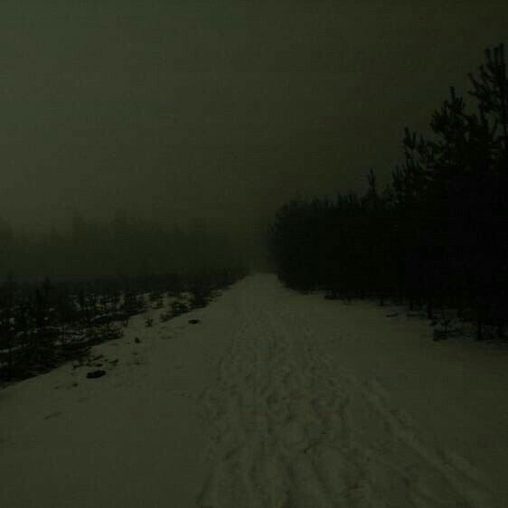 Create meme: gloomy nature, darkness, snow on the road