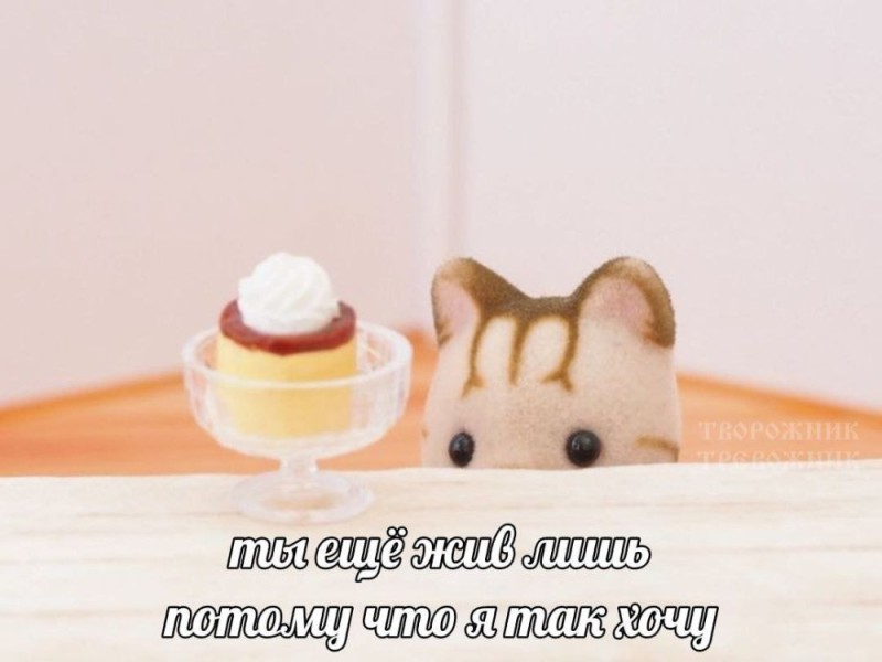 Create meme: sylvania family, toys , seals 