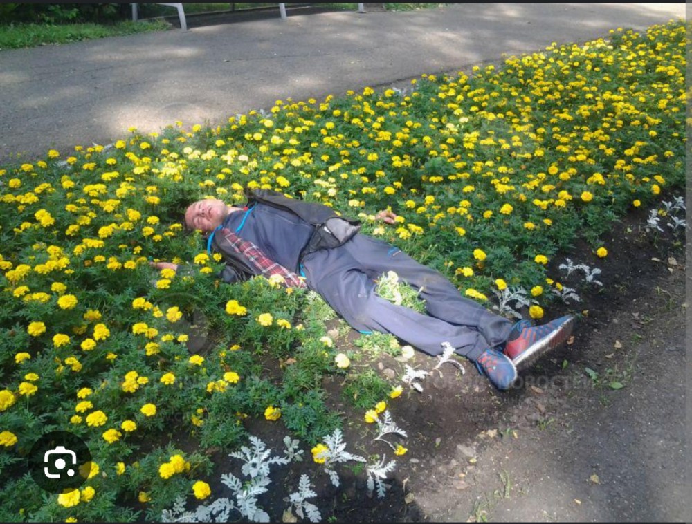 Create meme: The drunk in the flower bed, flowerbed, feet 