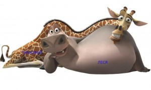 Create meme: Madagascar, Melman the giraffe, Melman