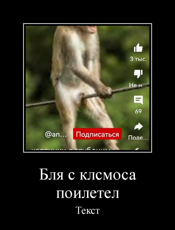 Create meme: smart macaque, carbon monoxide macaque, crazy monkey