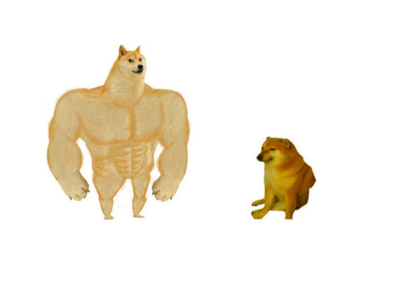 Create meme: inflated dog meme, doge Jock, the pumped-up dog from memes