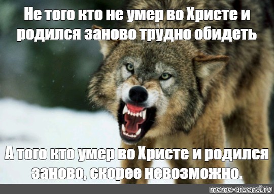 Люди рождаются заново. Как заново родилась. Рождённый заново скрины. Снова родиться.