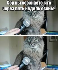 Создать мем: вы осознаете, мем кот, удивленный кот с микрофоном мем