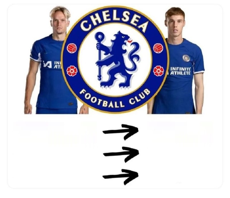 Create meme: the Chelsea logo, Chelsea , chelsea logo