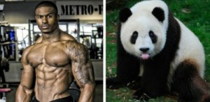 Создать мем: muscle, bodybuilder, симеон панда