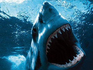 Create meme: shark, the horrors of sharks, horror movies about sharks 2018