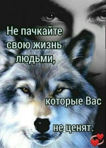 Create meme: wolves the soul of the wolf, wolves couple, wolf loner