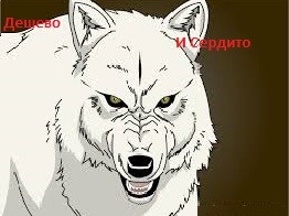 Create meme: Kiba the wolf, drawings of anime wolves with a pencil, wolf