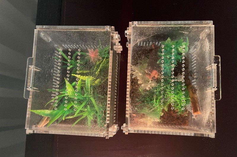 Создать мем: террариум для растений, аквариум маленький, аквариум pico set 5