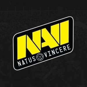 Create meme: navi emblem, logo Navi cs go