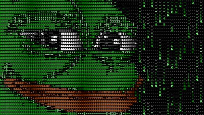 Create meme: ascii art, Pepe the hacker, Pepe matrix