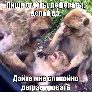 Create meme: let die in peace monkey, let alone to die meme, picture three monkeys let me die in peace