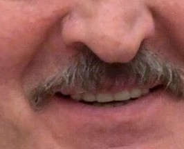 Create meme: mustache Lukashenko, people , moustache 