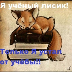 Create meme: don't be sad foxy, the Fox, quotes about reading pictures