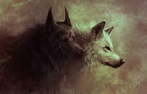 Создать мем: volk wolf белый и черный волк, волк арт, черный волк арт