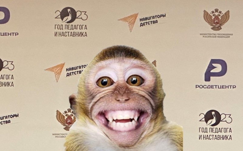 Create meme: monkey smiles at the camera, arseny the monkey, friday the monkey