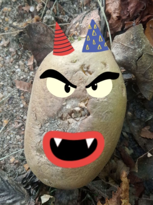Create meme: potatoes with eyes, potato head, crafts made of stones