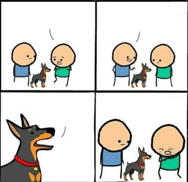 Create meme: memes and jokes, does your dog bite no it hurts otherwise, jokes comics
