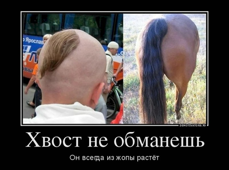 Create meme: The horse's tail, horse tail, shaved horse's tail
