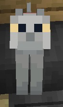 Create meme: minecraft skins for girls, animals in minecraft, for minecraft skins