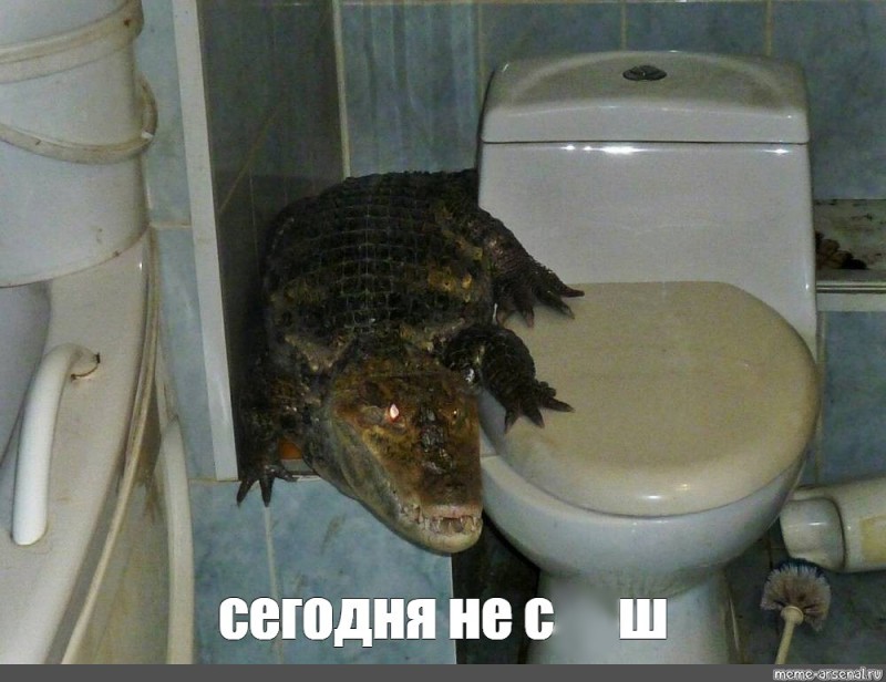 Создать мем: ааааа крокодил в ванной, домашний крокодил, крокодил на унитазе
