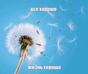 Create meme: dandelion