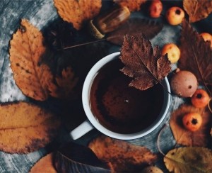 Создать мем: осень листья, желудь, осень чашка чая картинки