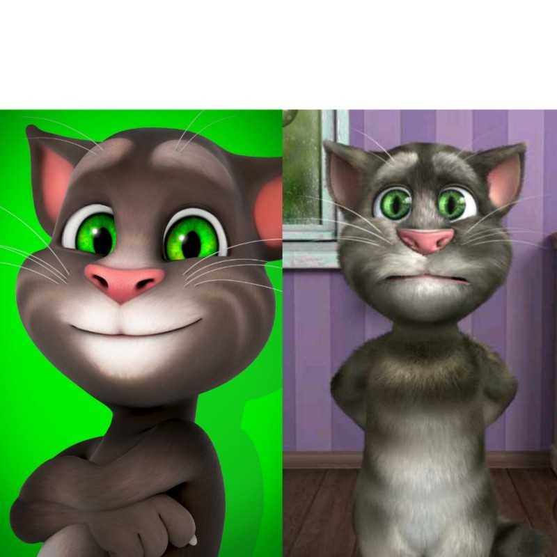 Create meme: talking Tom and friends, talking Tom 2, talking tom