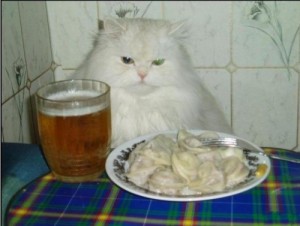 Создать мем: котоматрица, мем пиво, кот и кошка