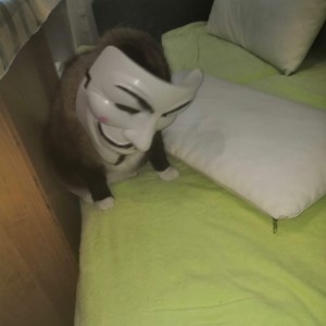 Create meme: mask, anonymous, people