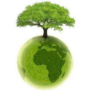 Создать мем: экология, экологические картинки, планета защита дерево