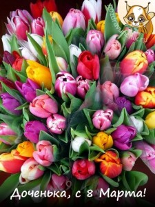 Create meme: beautiful tulips, bouquet for your favorite Tulip photo is beautiful, postcards 8 March photo of beautiful tulips