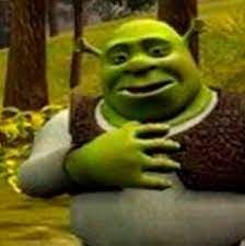 Create meme: Shrek communicate without the Mat, Shrek meme , nothing bikanel Shrek